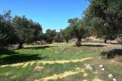 Photo 2 - Land 0 m² in Crete