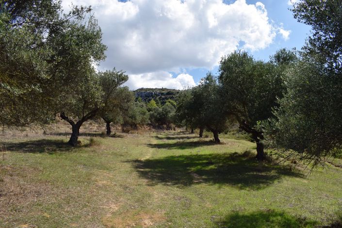 Image No.3-Terre à vendre à Apokoronas