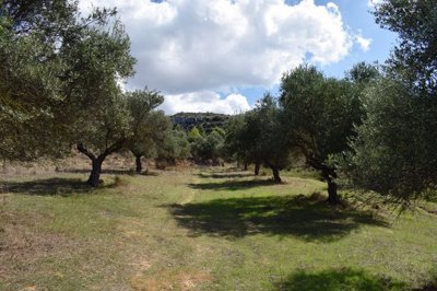 Photo 3 - Land 0 m² in Crete