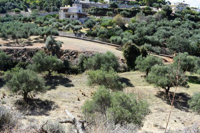 Photo 6 - Land 0 m² in Crete