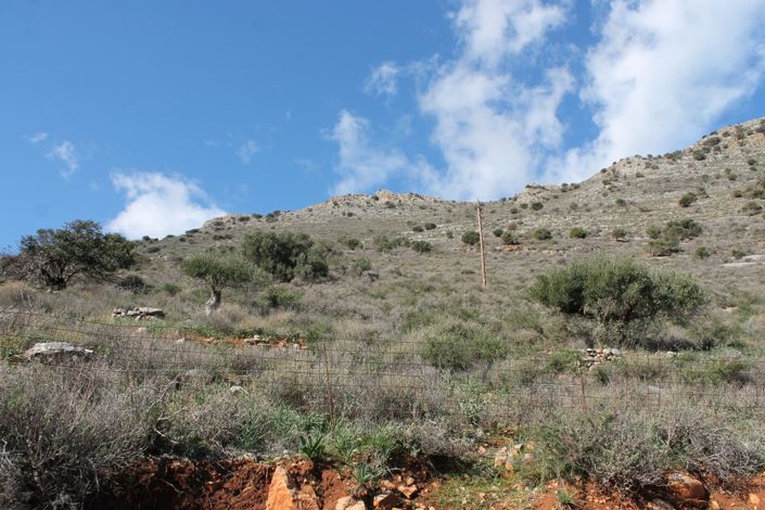 Image No.4-Land for sale