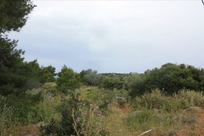Photo 15 - Land 0 m² in Crete