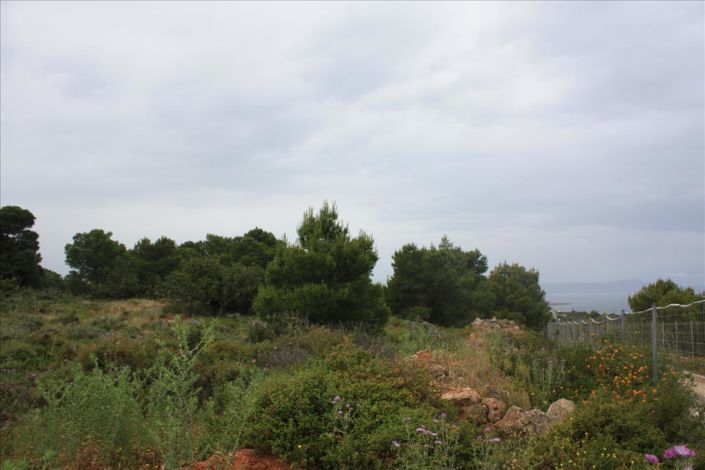 Image No.2-Land for sale