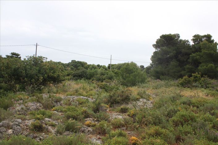Image No.3-Land for sale