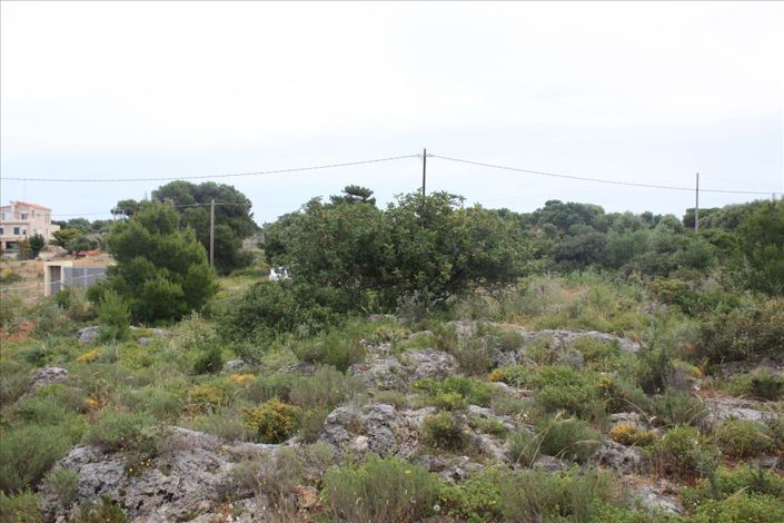 Image No.4-Land for sale