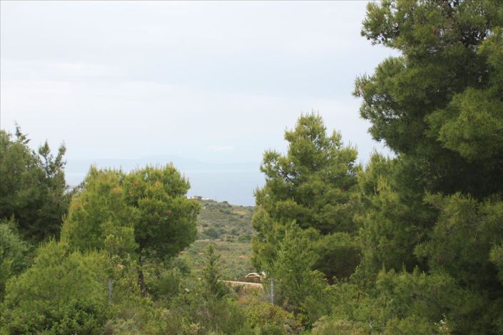 Image No.5-Land for sale