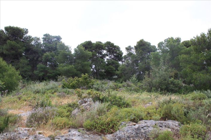 Image No.7-Land for sale