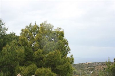 Photo 9 - Land 0 m² in Crete