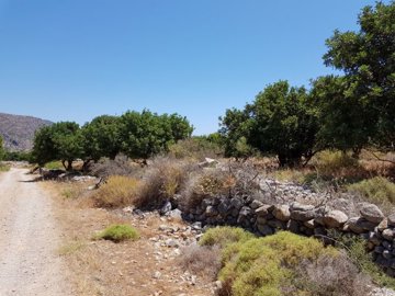 Photo 2 - Land 0 m² in Crete