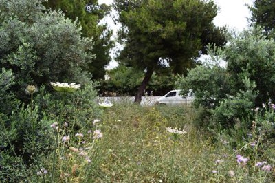 Photo 2 - Land 0 m² in Crete