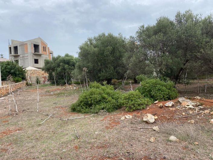 Image No.4-Land for sale