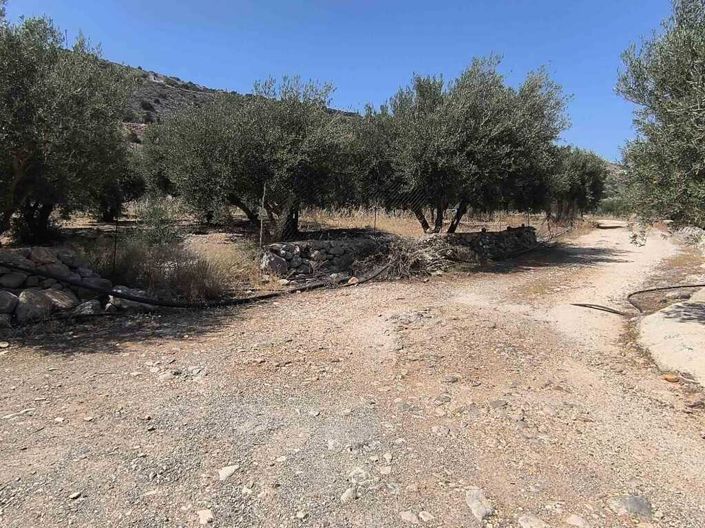 Image No.10-Land for sale
