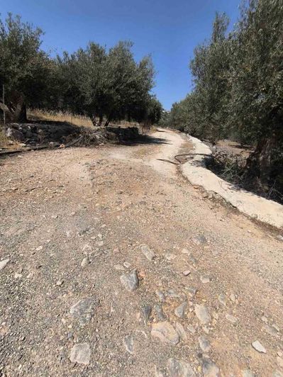 Image No.4-Land for sale
