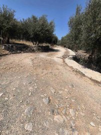 Photo 4 - Land 0 m² in Crete