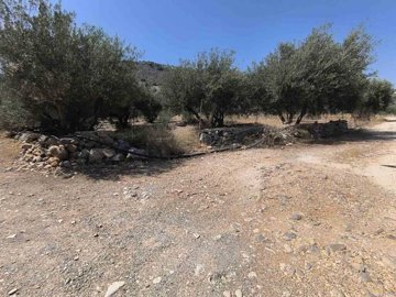 Photo 5 - Land 0 m² in Crete