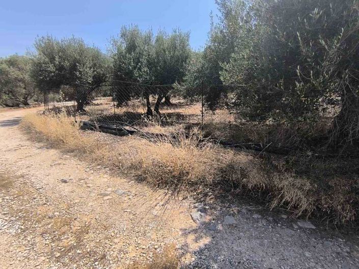 Image No.6-Land for sale