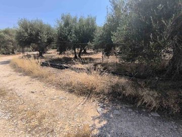Photo 6 - Land 0 m² in Crete