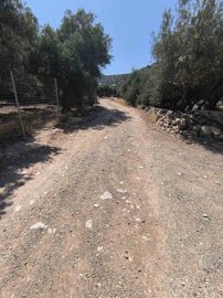 Photo 9 - Land 0 m² in Crete