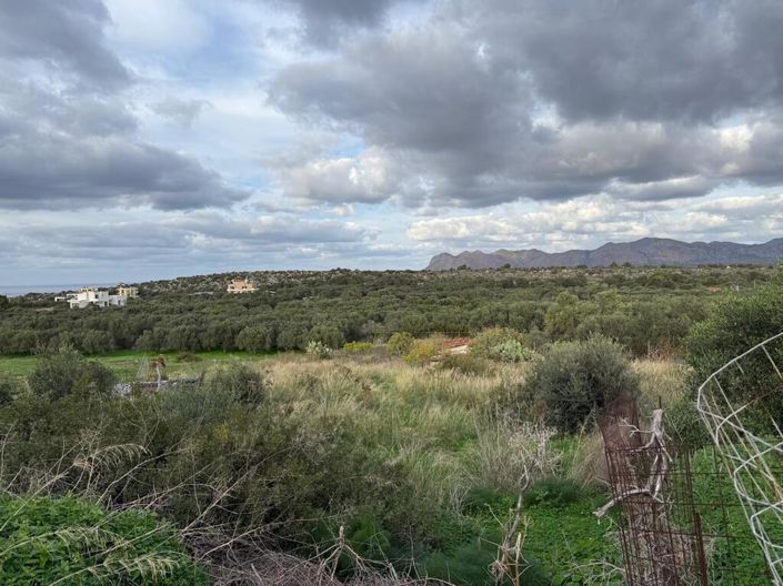 Image No.3-Land for sale