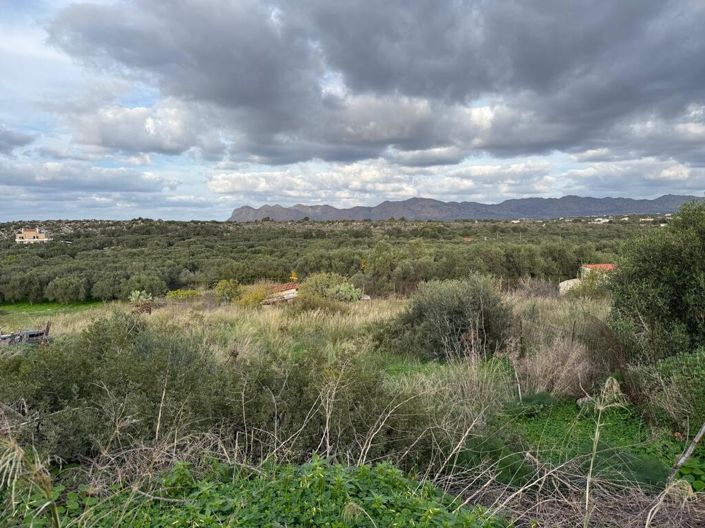 Image No.5-Land for sale