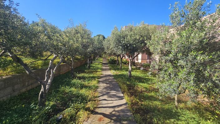 Image No.9-35 Bed Hotel for sale
