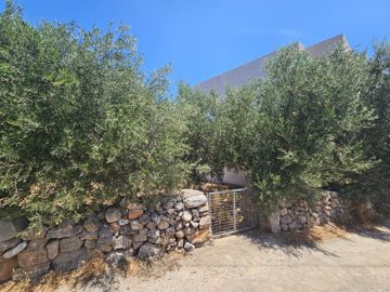 Photo 1 - Land 0 m² in Crete