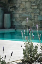 Photo 5 - Villa 140 m² in Crete