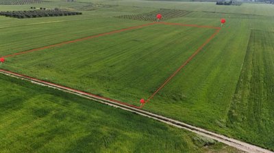 Photo 2 - Land 0 m² in Central Macedonia