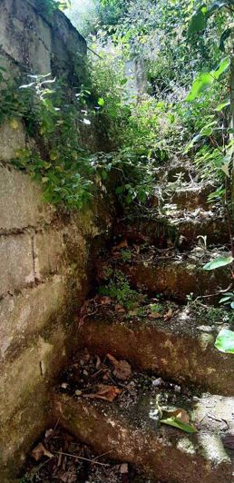 Image No.22-Property for sale
