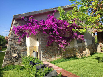 Photo 1 - Cottage 130 m² in Attica