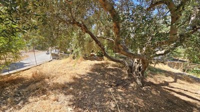 Photo 13 - Cottage 60 m² in Crete