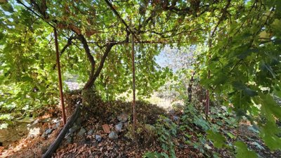 Photo 14 - Cottage 60 m² in Crete