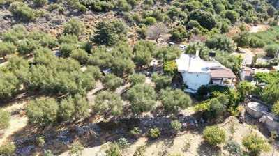 Photo 3 - Cottage 70 m² in Crete