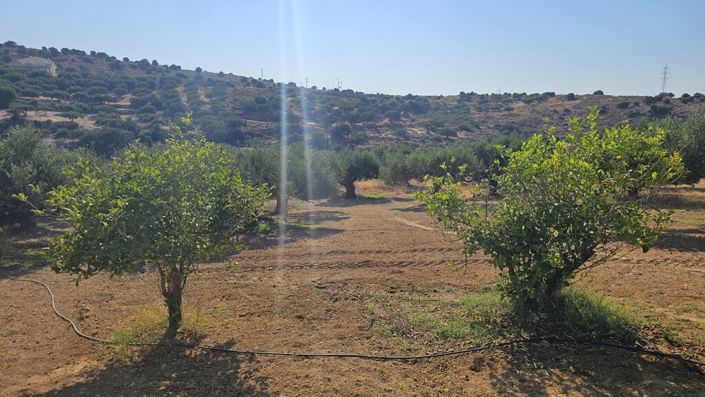 Image No.10-Land for sale
