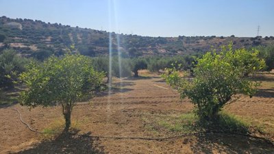 Photo 10 - Land 0 m² in Crete