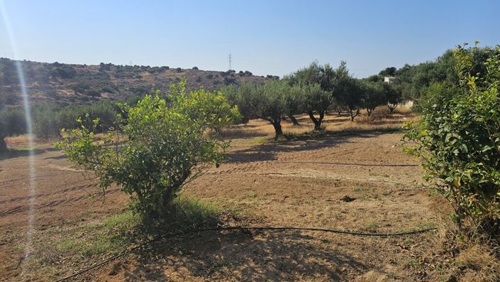 Image No.11-Land for sale