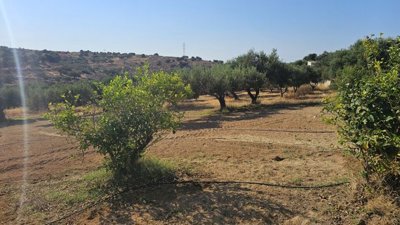 Photo 11 - Land 0 m² in Crete