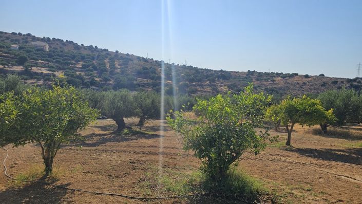 Image No.12-Land for sale