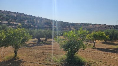 Photo 12 - Land 0 m² in Crete