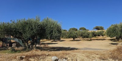Photo 2 - Land 0 m² in Crete