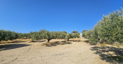 Photo 3 - Land 0 m² in Crete