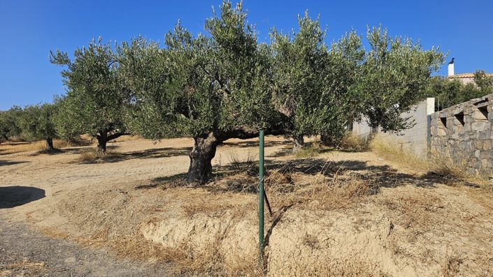 Image No.4-Land for sale