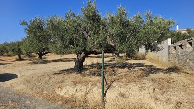 Photo 4 - Land 0 m² in Crete