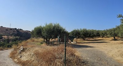 Photo 5 - Land 0 m² in Crete