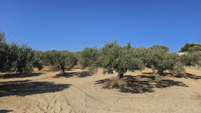 Image No.6-Land for sale