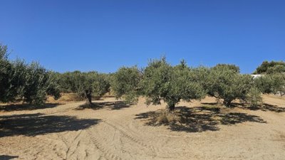Photo 6 - Land 0 m² in Crete