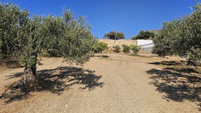 Image No.7-Land for sale