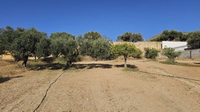 Photo 8 - Land 0 m² in Crete