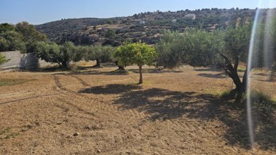 Photo 9 - Land 0 m² in Crete