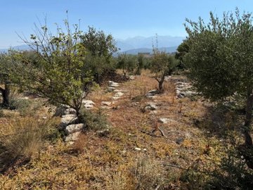 Photo 1 - Land 0 m² in Crete